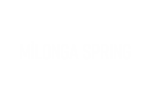 M_SPRING M_SPRING